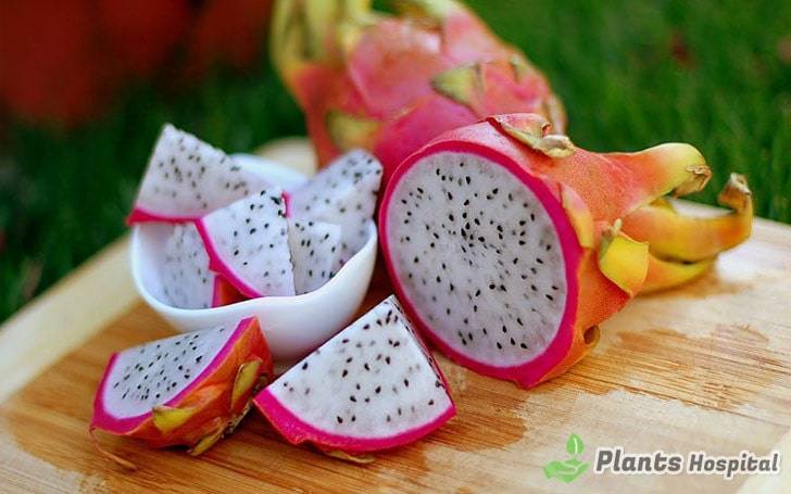 dragon-fruit-benefits