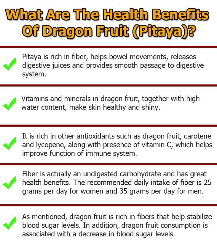 dragon-fruit-(pitaya)-graphic