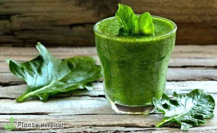 spinach-juice-benefits