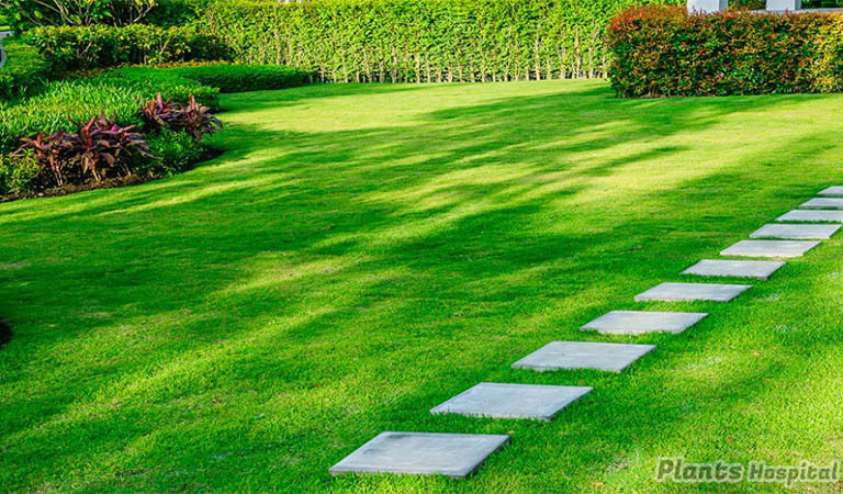 how-to-start-a-lawn-care-business