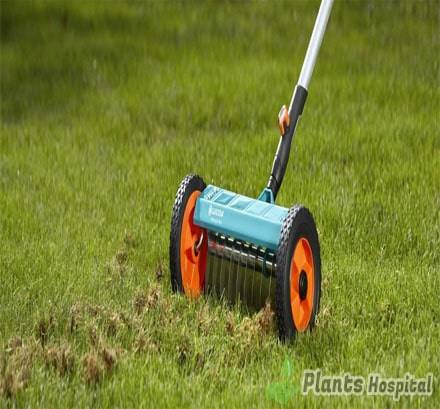 lawn-aerate