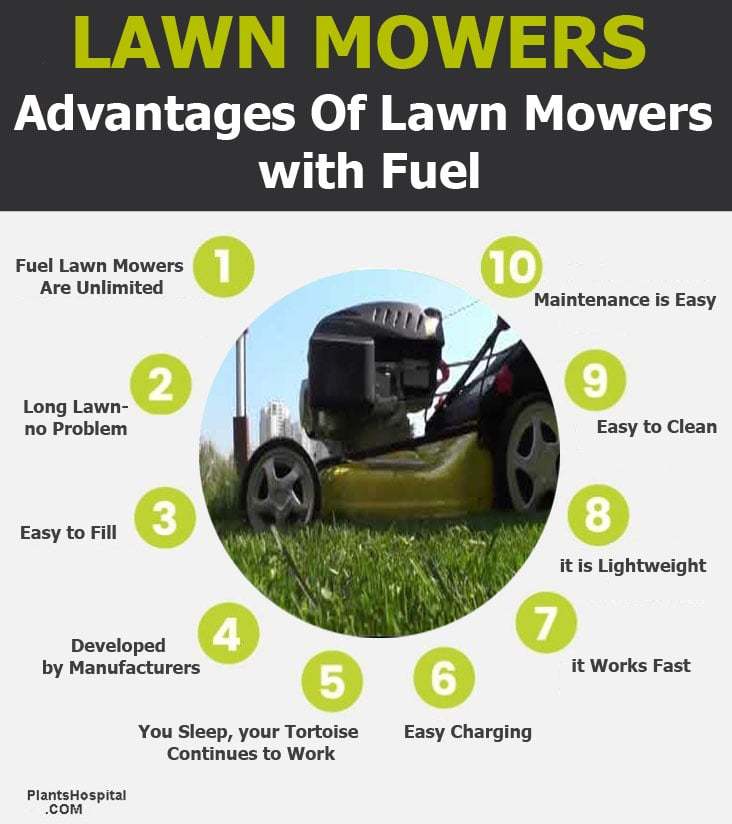 fuel-lawn-mowers-graphic