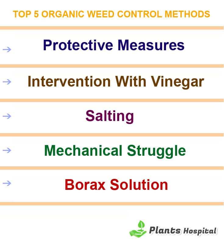 weed-control-methods-graphic