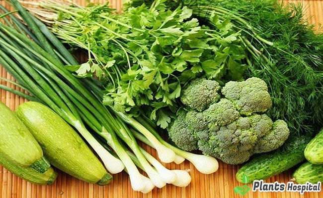 Green-Leafy-Vegetables