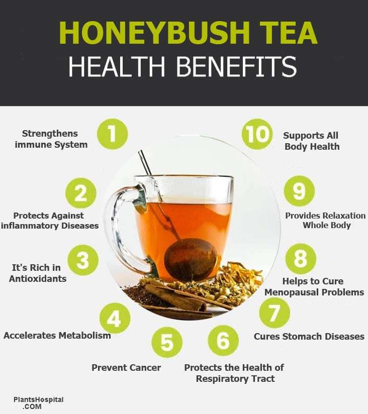 honeybush-tea-graphic