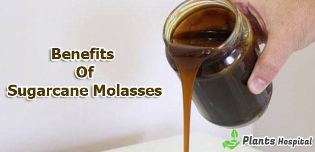 sugarcane-molasses