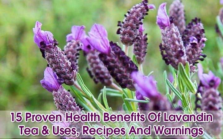 Lavandin-tea-benefits