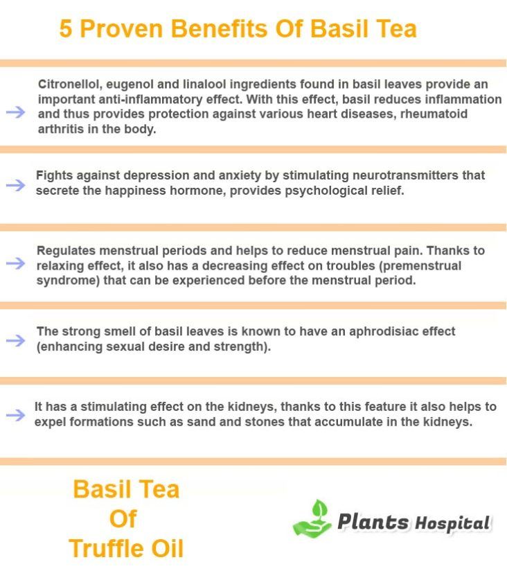 basil-tea-graphic