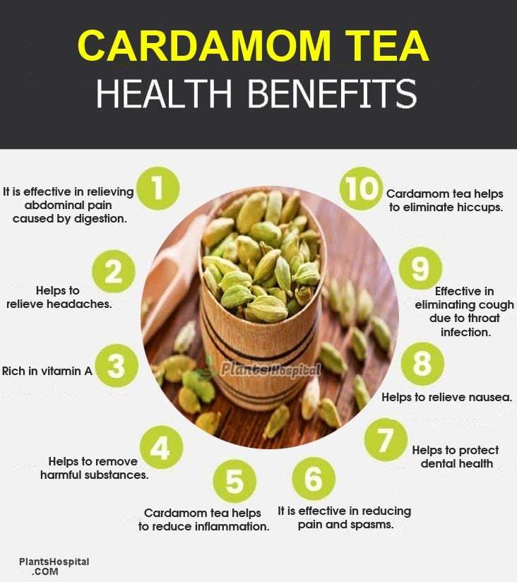 16 Incredible Health Benefits Of Cardamom Tea Uses How To Brew 