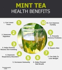 10 Amazing Health Benefits Of Mint Tea - How to Use And Warnings