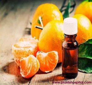 mandarin-essential-oil
