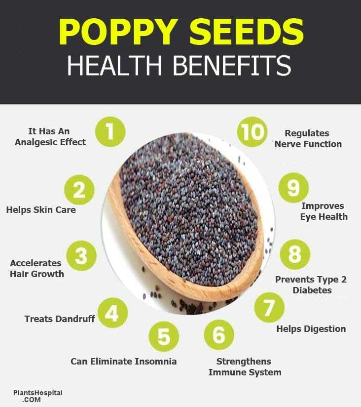 Poppy Seeds Graphic 