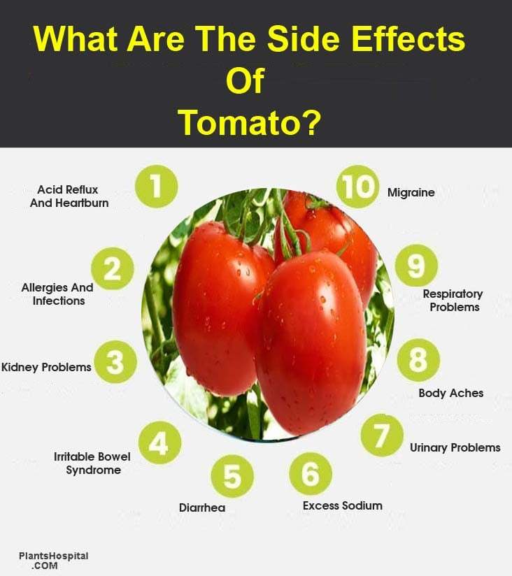 Too Much Tomato! What Are The Side Effects Of Tomato 2021?