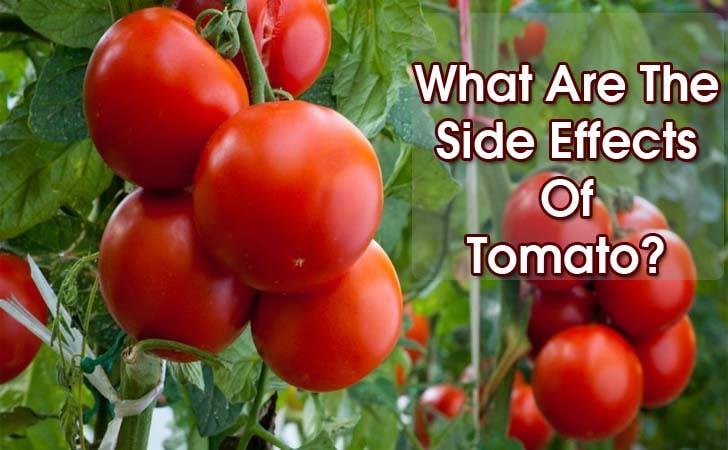 Are You Eating Too Much Tomato? - What Are The Side ...