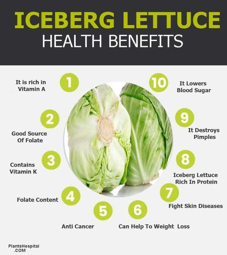 iceberg-lettuce-graphic