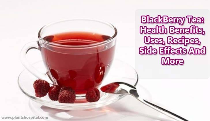 Blackberry-tea-benefits
