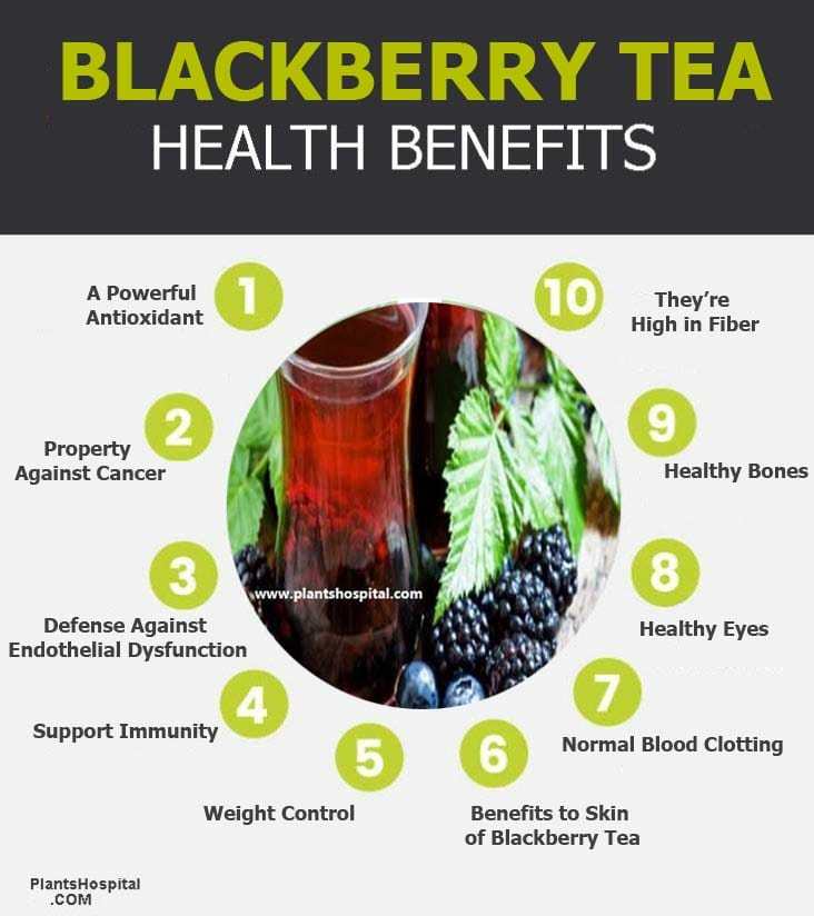 blackberry-tea-graphic