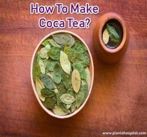 coca-tea