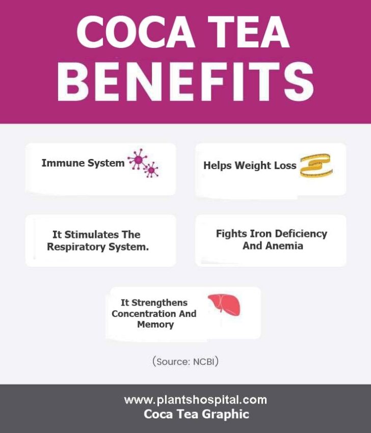 coca-tea-graphic