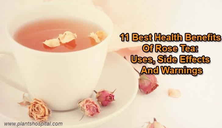 rose-tea-benefits