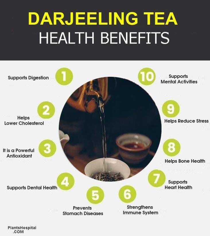 Darjeeling-tea-graphic