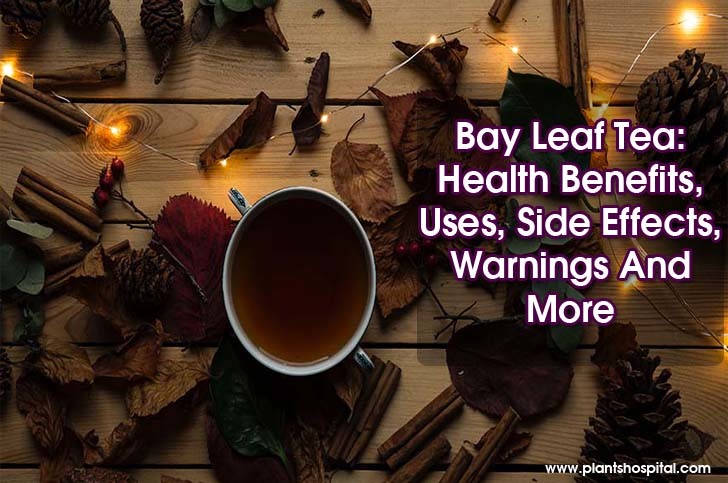bay-leaf-tea-benefits