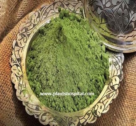 22 Proven Health Benefits Of Henna & Benefits To Skin, Hair And Nails
