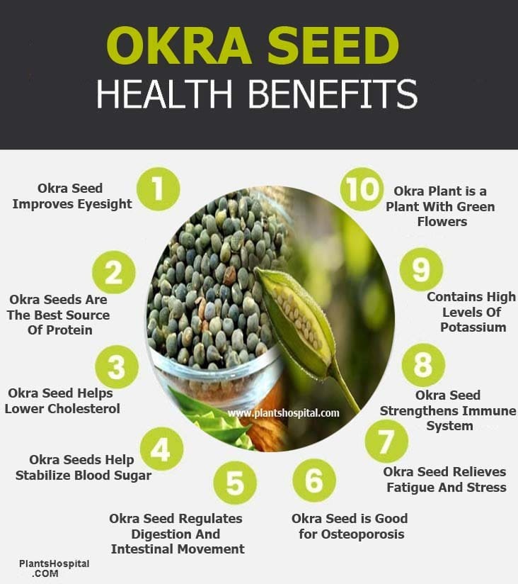 10 Amazing Health Benefits Of Okra Seed Uses, Warnings & More