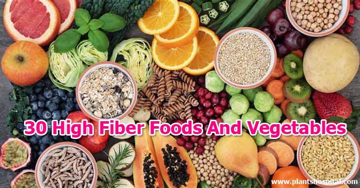 30-High-Fiber-Foods-And-Vegetables