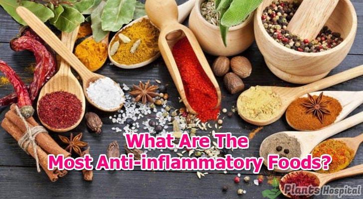 Anti-inflammatory-Foods