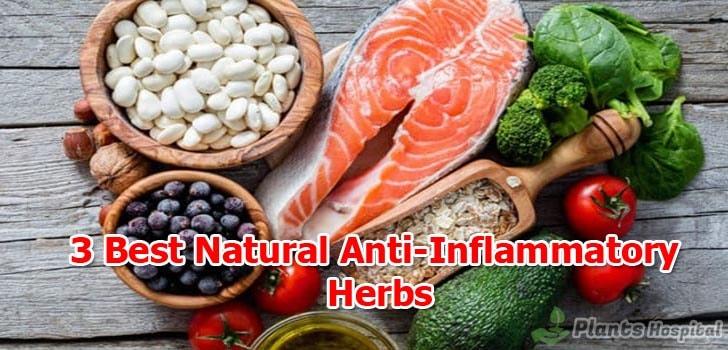 Best-Natural-Anti-Inflammatory-herbs