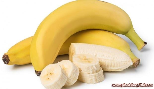 banana-for-brain-health