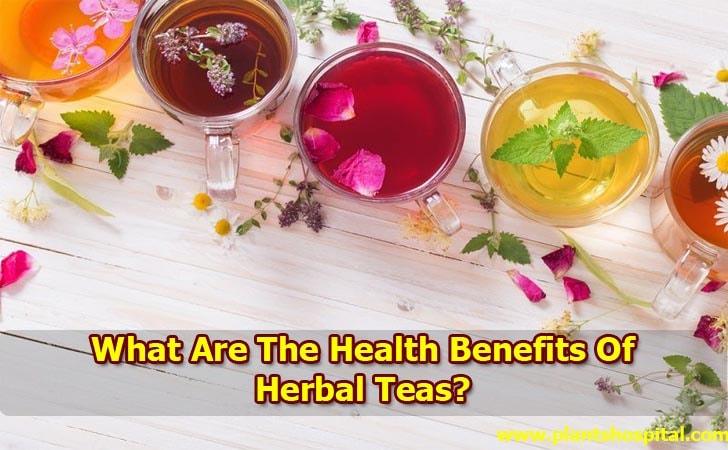 benefits-of-herbal-teas