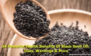 34 Powerful Health Benefits Of Black Seed Oil: Uses, Warnings & More