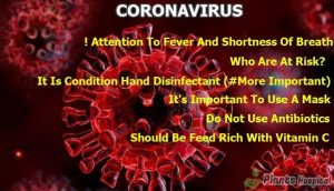 What Are Foods That are Good For Coronavirus (COVID-19)? - Warnings