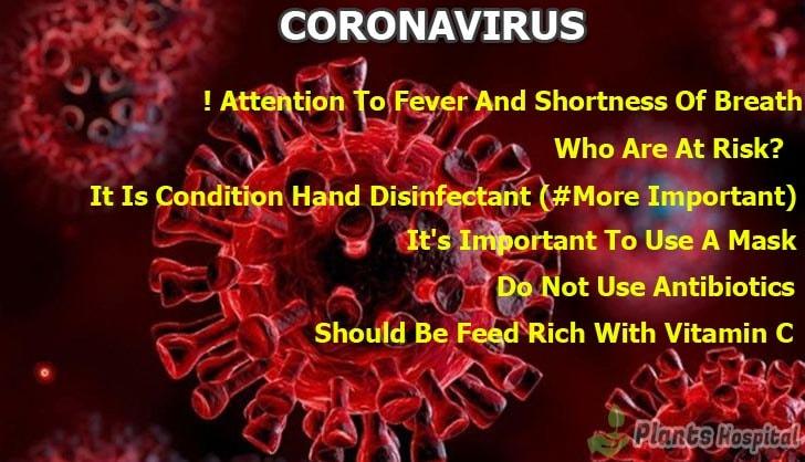 coronavirus-graphic