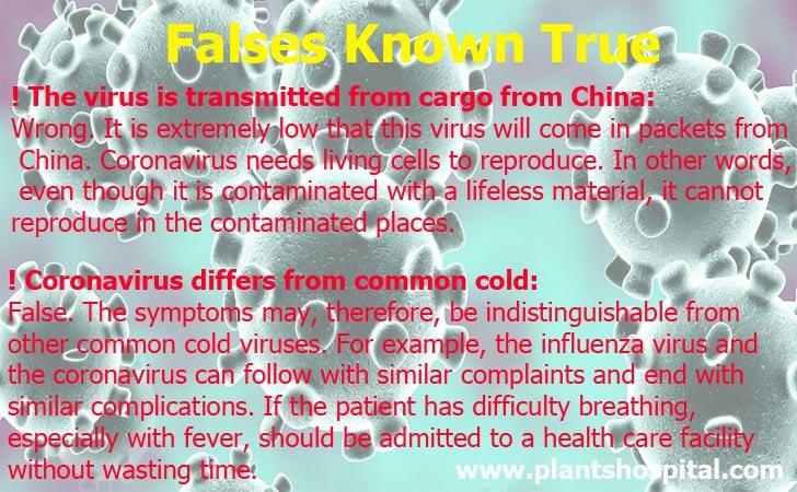 false-known-true-coronavirus