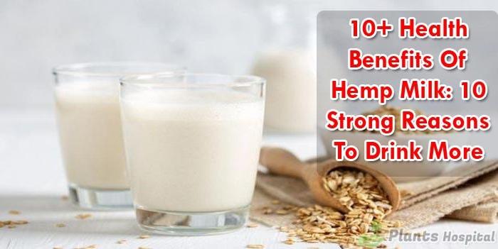 hemp-milk-benefits