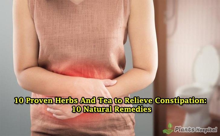 herbs-and-tea-to-relieve-constipation