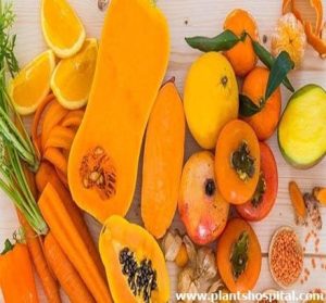 orange-and-yellow-fruits