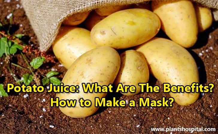 potato-juice-benefits