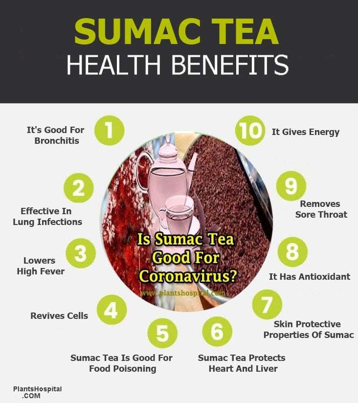 sumac-tea-benefits-graphic