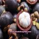 what-is-mangosteen