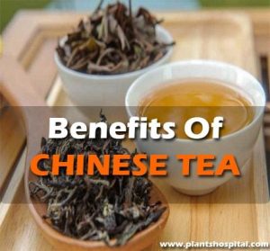 Benefits-Of-Chinese-Tea