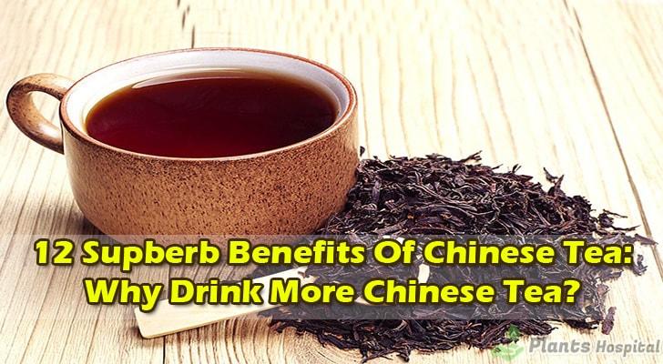 12 Superb Benefits Of Chinese Tea Why Drink More Chinese Tea