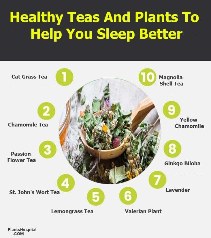 Healthy-Teas-And-Plants-To-help-you-sleep-better-infographic