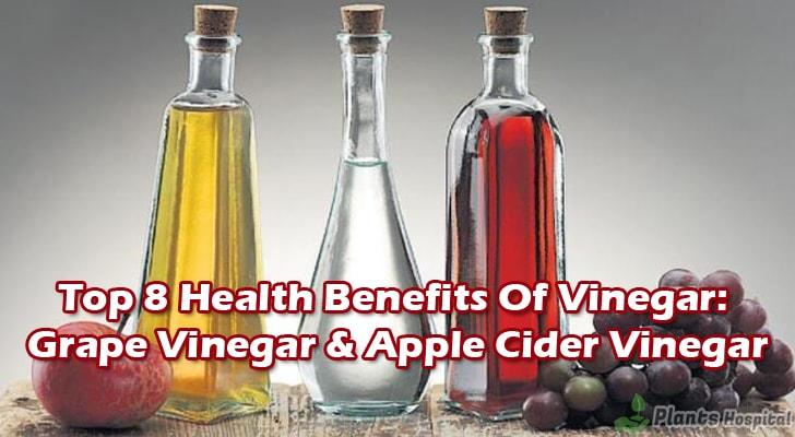 Vinegar-helps-to-lose-weight