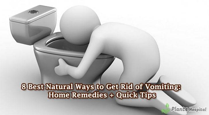 Vomiting-home-remedies