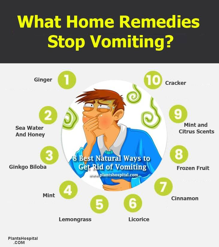 What-home-remedies-stop-vomiting-infographic