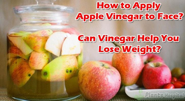 can-vinegar-help-you-lose-weight